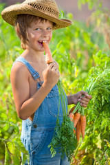 The farmer kid with carrot 