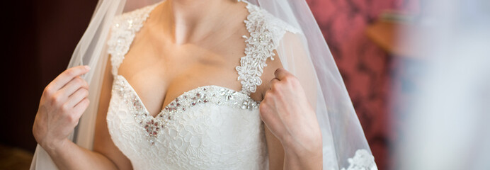 bride and wedding dress