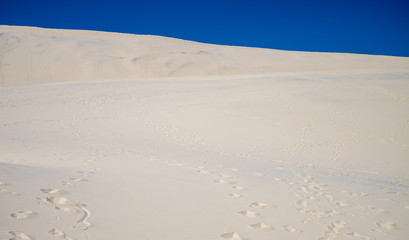 Dune at Tangalooma Island