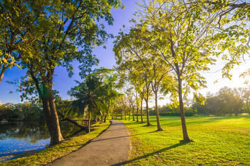 Pavement in park with green lawn sun light