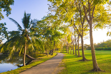 Pavement in park with green lawn sun light
