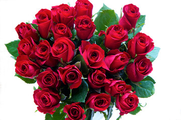 Red Roses