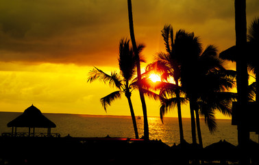 Palm tree sandy beach sunrise