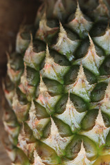 fresh pineapple sweet fruit