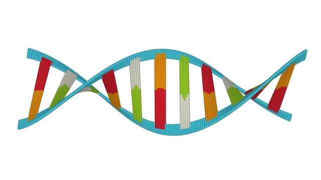 Genetic data string colorful double helix rotating DNA 3d seamless loop fullhd 1080p