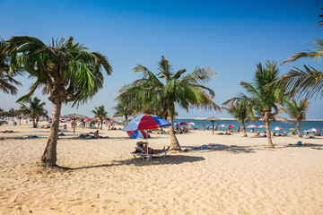 Beautiful Beach with palm tree