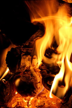 Burming firewood in fireplace