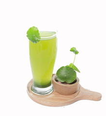 Pennywort or asiatic herbal Smoothie in glass, Helathy drink on