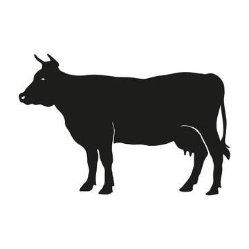 Logo cow