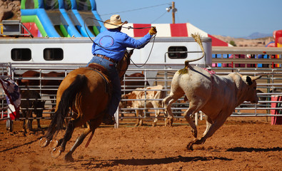 A cowboy chasing a bull with a rope on a rodeo event, Utah, USA - obrazy, fototapety, plakaty