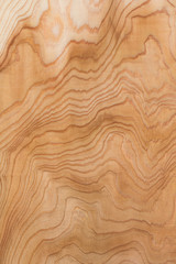 杉板の木目
