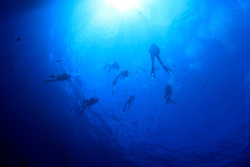 Fototapeta na wymiar Scuba diving exploring coral reef in ocean