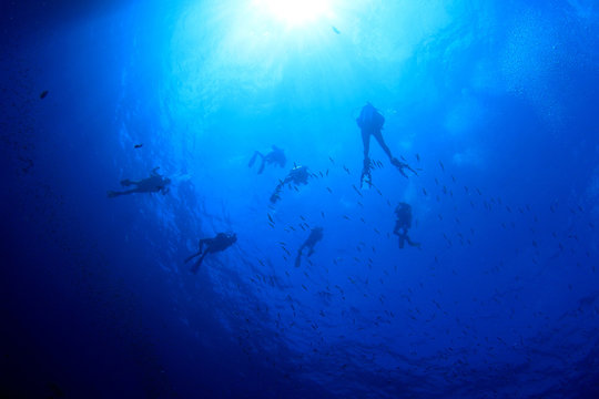 Scuba diving exploring coral reef in ocean
