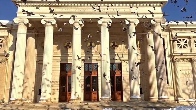 Slow Motion Video Of Pigeons In Flight Near The Romanian Athenaeum In Bucharest, Romania.