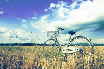 Naklejka premium Retro bicycle in grass field 