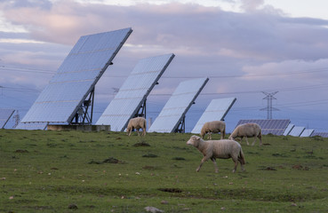 Energias renovables 