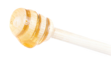 honey spoon dipped in a honey