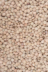 loos lentil background