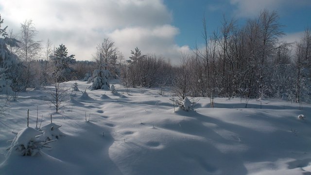 Pulverschnee