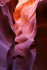 Antelope Canyon as seen in the early afternoon, resulting in deep purple colors, Page, Arizona, USA