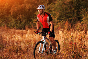Cyclist riding mountain bike on trail at evening.