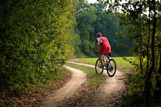Cyclist riding mountain bike on trail at evening.