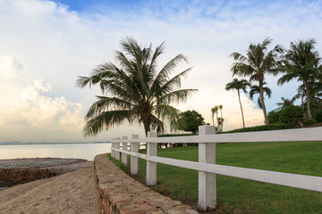 White fence, coconut tree and lawn on the beach