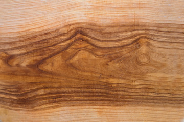 Текстура дерева © urika