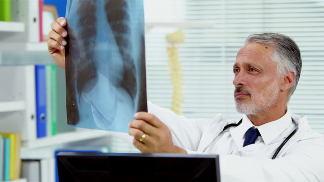 Portrait of a smiling doctor holding a x-ray