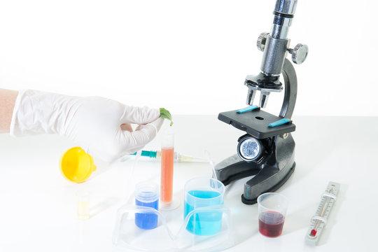 Hands Scientist Working In Laboratory Microscope / Researcher At The Microscope Lab Workbench