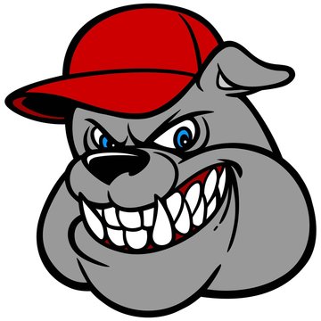 Bulldog with Baseball Cap