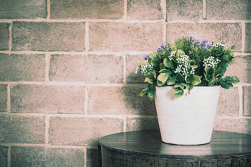 Vase plant decoration interior