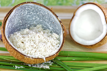 close up of a coconut 