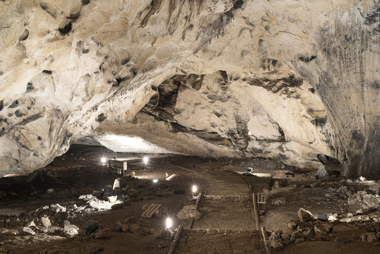 รูปภาพRabisha เลือกดูภาพถ่ายสต็อก เวกเตอร์ และวิดีโอ79 Adobe Stock