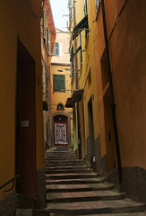 Fototapeta na wymiar A narrow pedestrian street with steps in Vernazza. The Cinque Terre