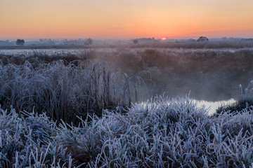 Poranek nad Narwią © podlaski49