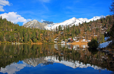 Obraz premium Der Reedsee im Frühling