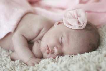 Newborn baby peacefully sleeping under a pink blanket