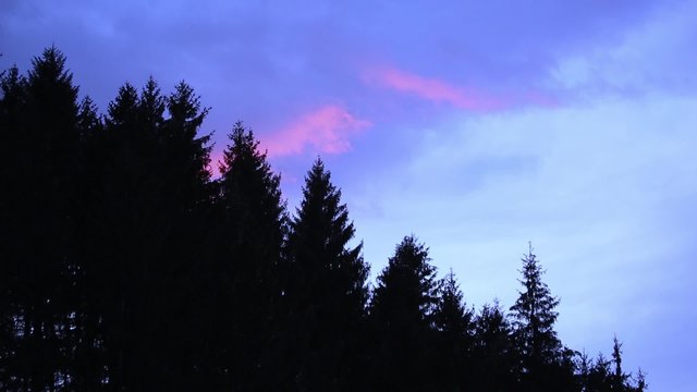 Blue moving cloudscape with forest tree silhouette. Time-lapse for moving clouds effect used.