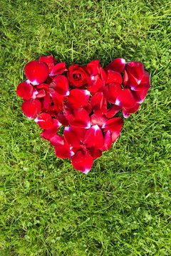 Red heart from rose petals  on grass.