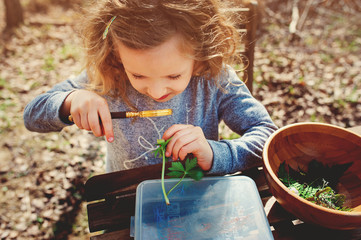 child girl exploring nature in early spring, looking at first sprouts with loupe. Teaching kids to...
