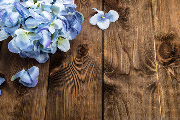 Hydrangea flower on wood with copy space