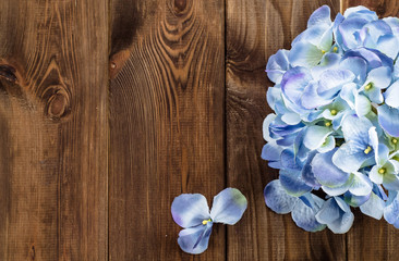 Beautiful hydrangea on wood with copy space