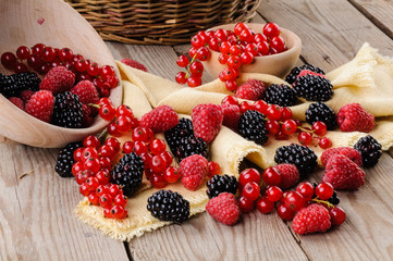 Frutti di bosco © Studio Gi