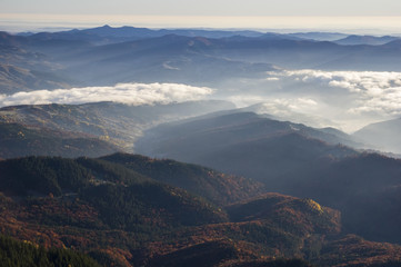 Fototapeta na wymiar Mountain valley and forest fog