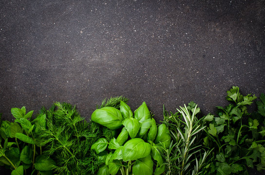 Fresh Herbs On Dark Background