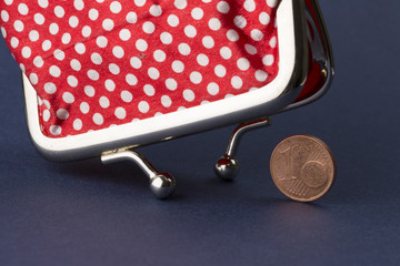 Wallet and last euro cent