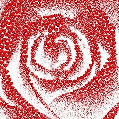 Valentines day background with hearts. Monochrome rose, formed from 150,000 red hearts on a white background. 