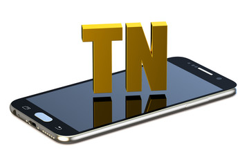 TN concept with smartphone