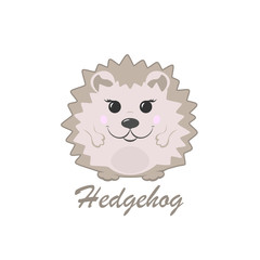 Cute hedgehog